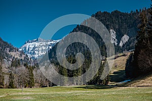 Spring impressions from marbach, emmental entlebuch switzerland