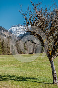 Spring impressions from marbach, emmental entlebuch switzerland