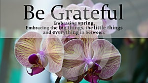 Spring inspirational quote - Be grateful. Embracing spring. Embracing the big things, the little things and everything in between