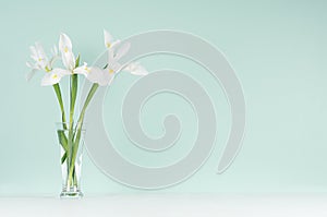 Spring interior in trendy green mint menthe color with fresh flowers  -  white bouquet of iris in transparent glass vase on  white