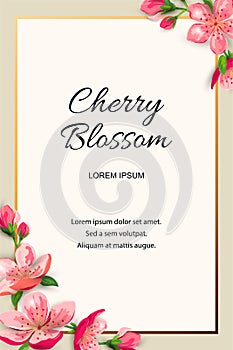 Spring invitation with blossom sakura, cherry flowers