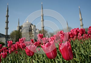 Spring in Istanbul