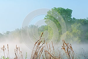 Spring, Jackson Hole Lake in Fog