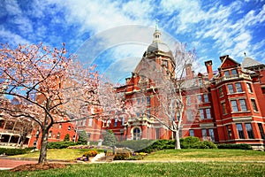 Spring at Johns Hopkins photo