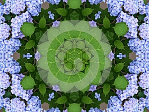 Spring kaleidoscope photo