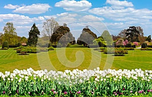 Spring in Kew botanical gardens, London, UK