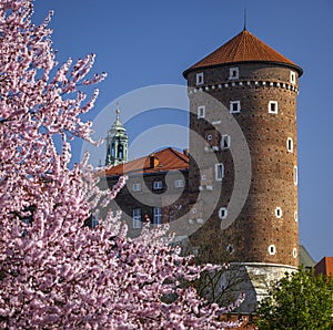 Tower of the Wawel Castle in flowers, Krakow, Poland