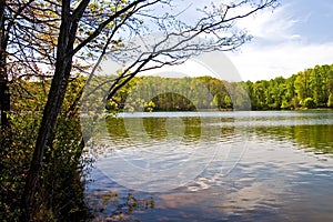 Spring at the Lake