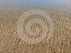 Spring lake shore clear water texture background