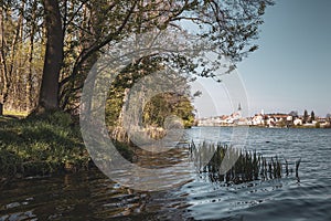 Spring lake with trees on the bank and Jindrichuv Hradec town on background