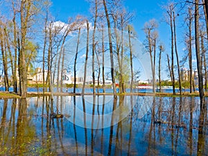 Spring landscape