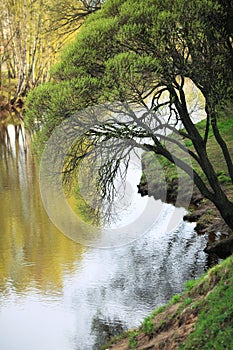 Spring landscape