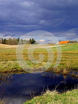 Spring landscape