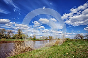 Spring landscape