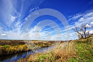 Spring landscape