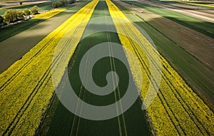 Spring landscape aerial photo