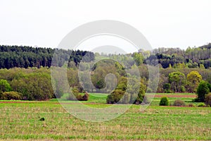 Spring landscape in Anyksciai district in Lithuania