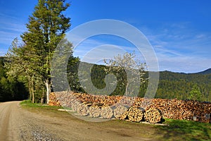 Spring landscape around the Hill Arber, Bohemian Forest (Å umava), Germany