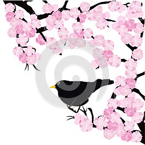 Spring landscape background