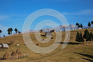 Spring landscape. Beautifull scene in Romanian Carpathians