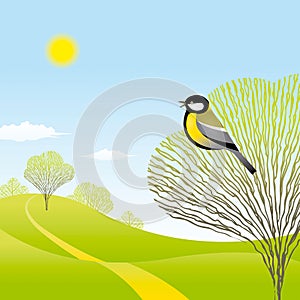 Spring landscape with a bird