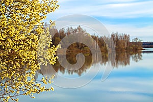 Spring landscape with a blossoming tree and the river