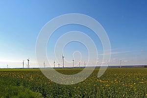 Spring landscape with blue skies and green, field and wind farm