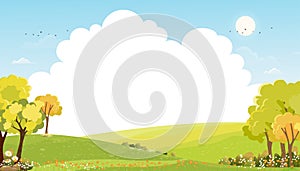 Spring landscape with blue sky and clouds,Panorama Green fields with copy space, fresh and peaceful rural nature in springtime