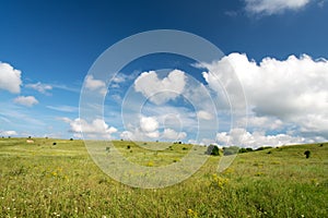 Spring landscape with blue sky and green lawn