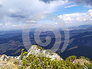 Spring landscape with blue sky, strong clouds and colorful forrest.