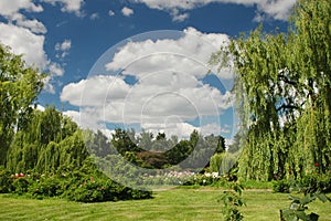 Spring landscape in a botany garden with sky