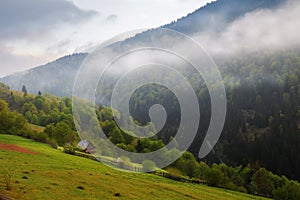 Spring landscape in the Carpathian mountains