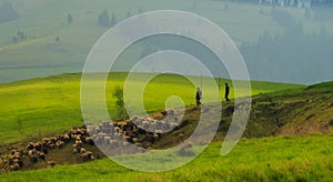 Spring landscape in the Carpathian mountains with