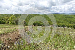 Spring Landscape of Cherna Gora mountain, Bulgaria