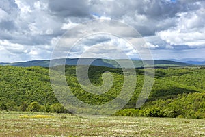 Spring Landscape of Cherna Gora mountain, Bulgaria