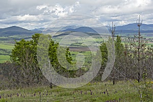 Spring Landscape of Cherna Gora mountain, Bulgaria photo