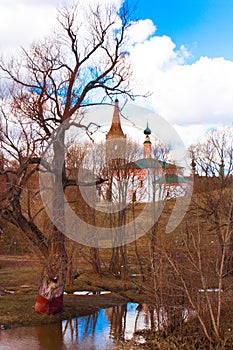Spring landscape with chirches and trees
