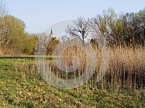 Spring landscape with church