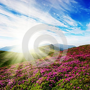 Frühling wolkig der himmel a farben 