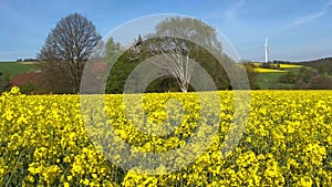 Spring landscape cloudy sky, golf course, cherry blossoms, rapeseed fields and windmills in German countryside.