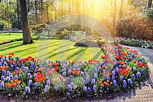 Spring landscape with colorful flowers