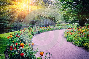 Spring landscape with colorful tulips