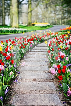 Spring landscape with colorful tulips and hyacinths