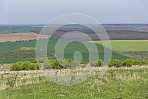 Spring landscape of Danubian Plain, Bulgaria