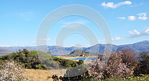Spring landscape photo