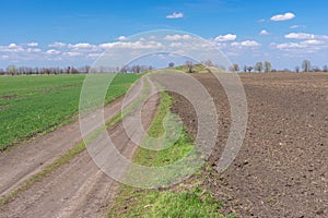 Spring landscape with an earth road leading to an ancient burial mound