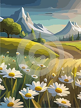 Spring landscape field white daisies blue sky and cloud in Sunny day, Panorama