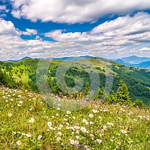 Spring landscape with flowery meadows and mountain peaks