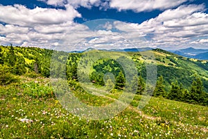 Spring landscape with flowery meadows and mountains.