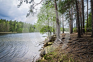 Spring landscape in the forest lake